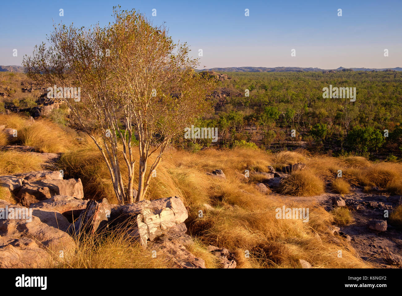 Ubirr Rock, Kakadu National Park, NT Stock Photo - Alamy