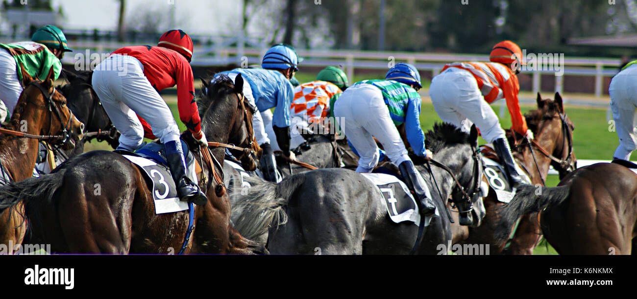 Mammal jockeys hi-res stock photography and images - Alamy