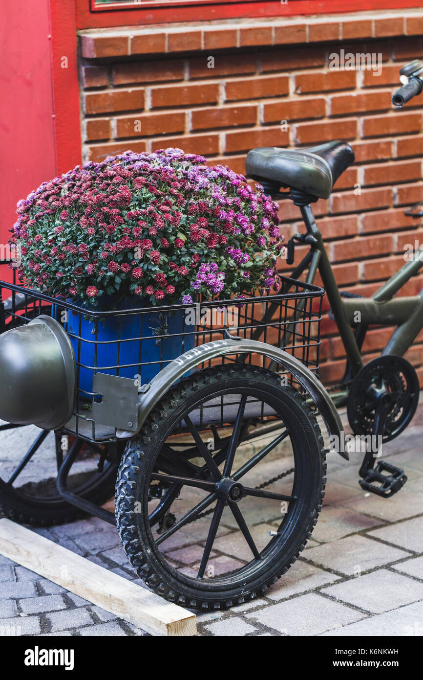 Street decoration with old bicyle and big basket of flowers Stock Photo