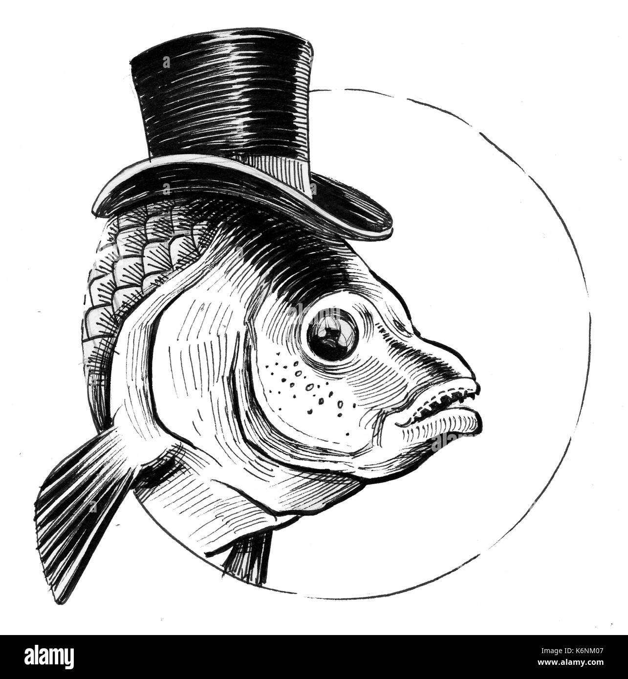 Fish with a tall hat Stock Photo - Alamy