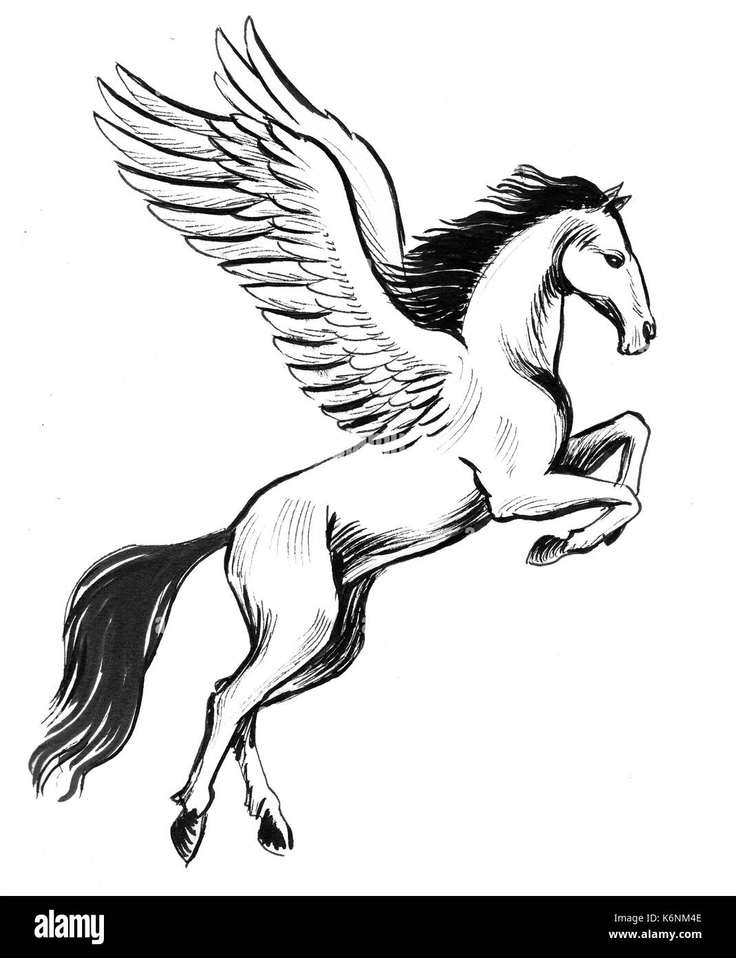 White pegasus Stock Photo