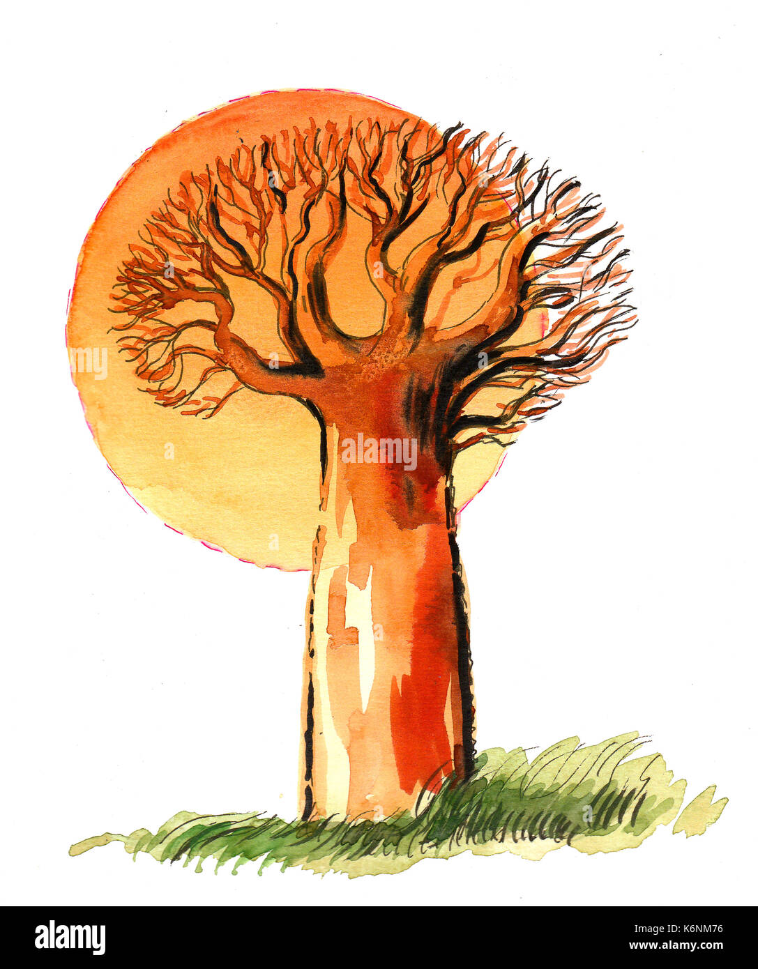 Baobab and sun Stock Photo Alamy