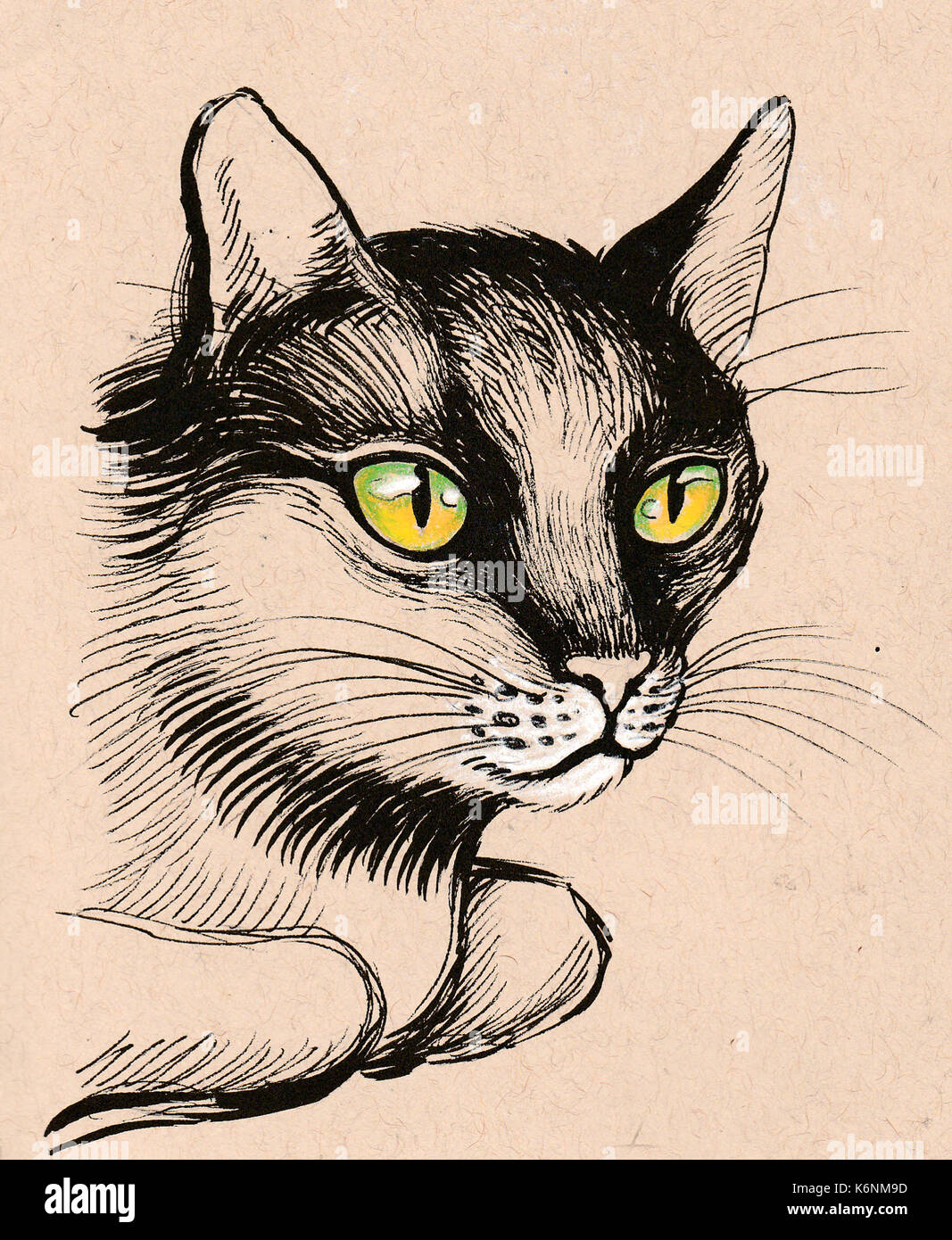 How to Draw a Cat | How-to-Art.com