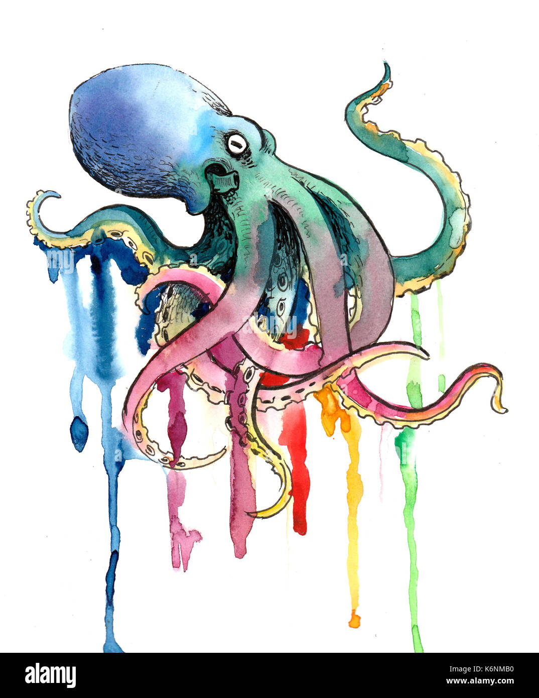 Octopus artwork Cut Out Stock Images & Pictures Alamy