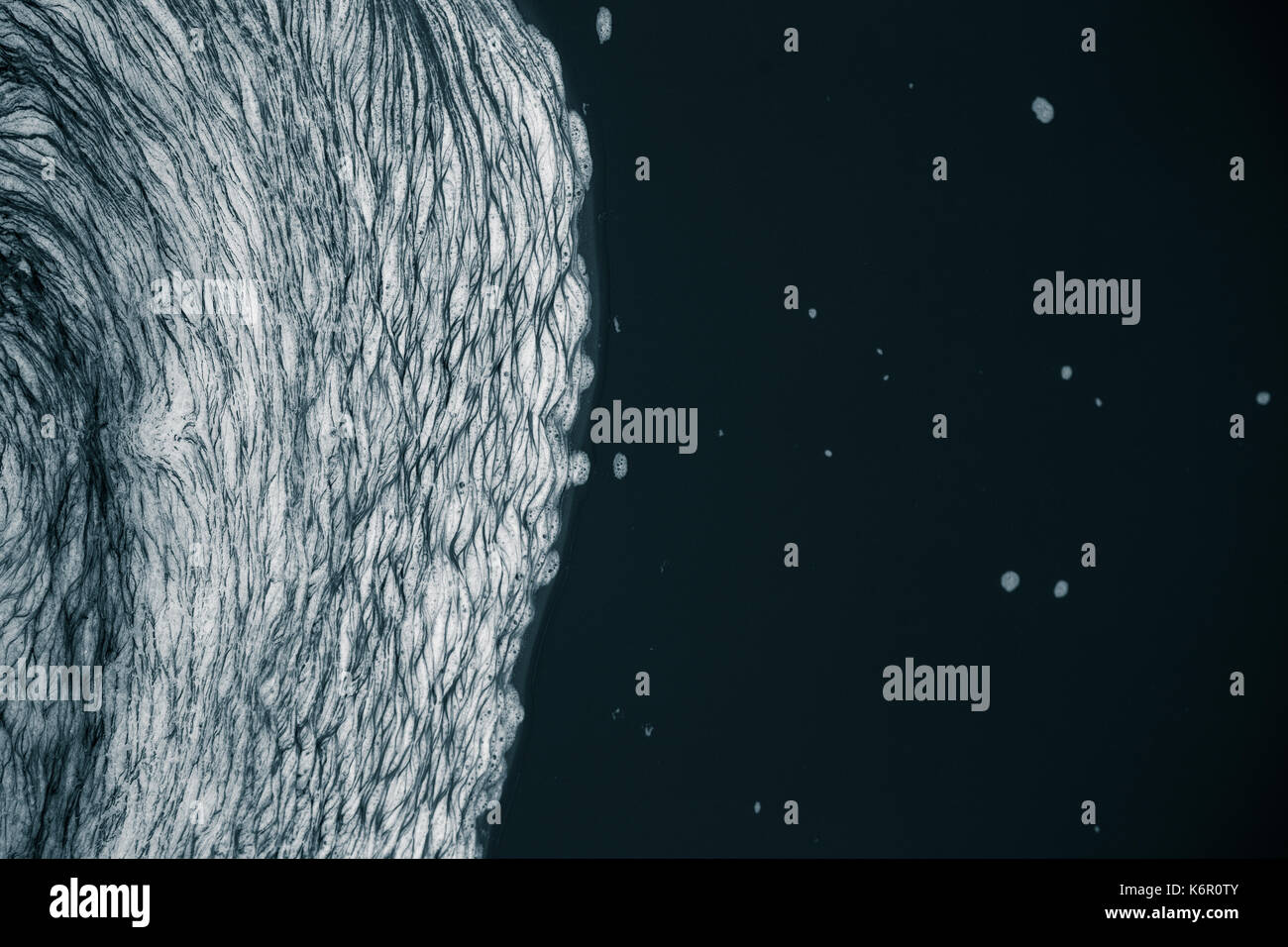 An abstract pattern of a foam forming in the river. Beautiful abstract ...