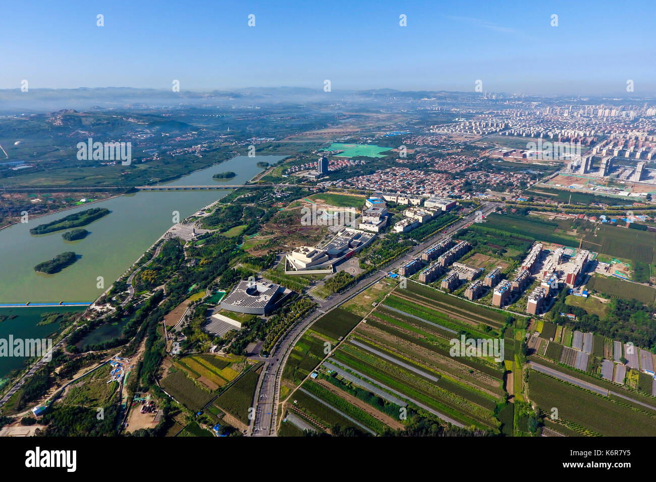 linzi knee high boots