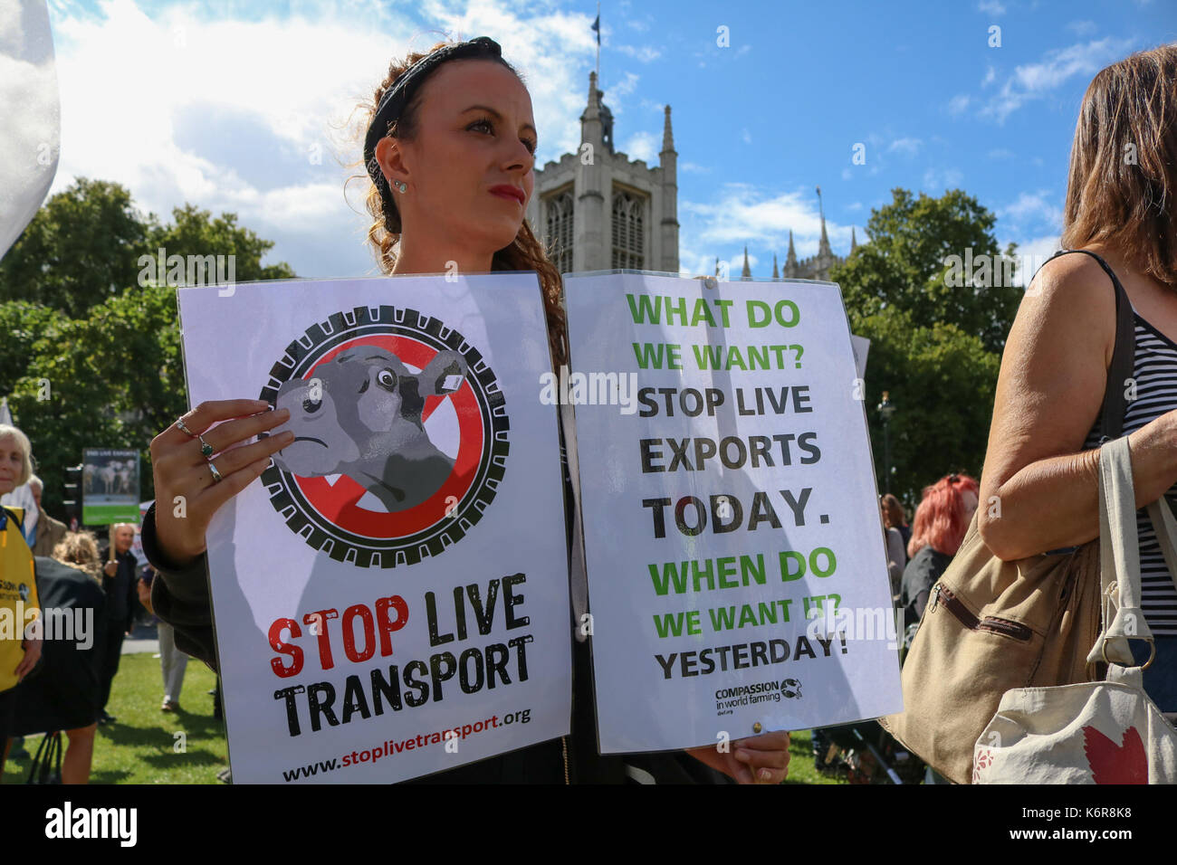 London, UK. 13th Sep, 2017. Animal rights groups campaigned in Parliament Square as part of Compassion for World Farming  to highlight the inhumane treatment and suffering of Millions of live animals beeing transported thousands of kilometres  and   ban the live exports of animals as they face slaughter Credit: amer ghazzal/Alamy Live News Stock Photo