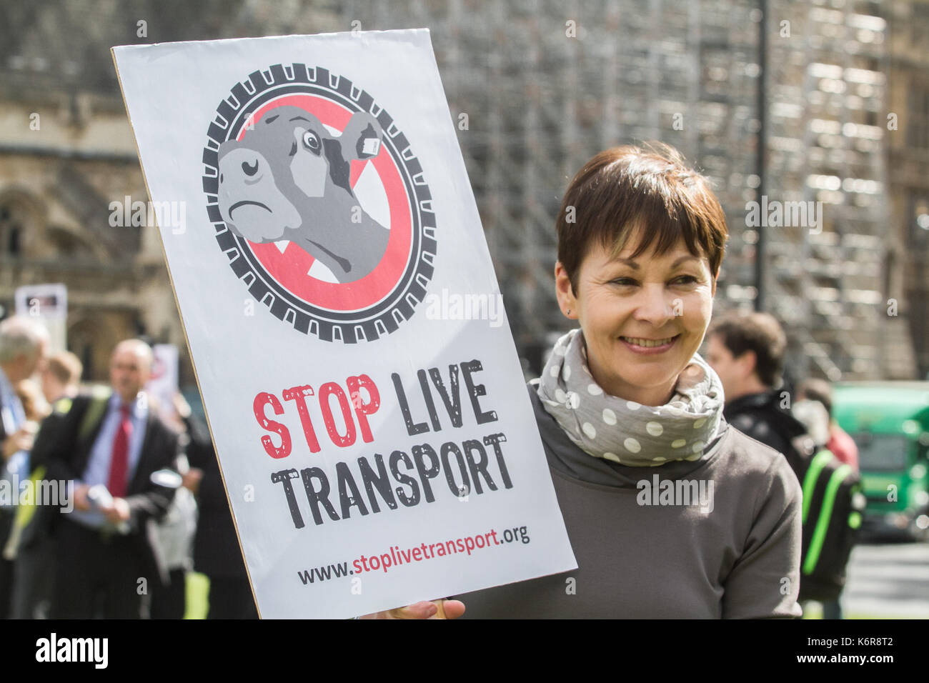 London, UK. 13th Sep, 2017. Green MP Caroline Lucas joins Animal rights groups  in Parliament Square  to highlight the inhumane treatment and suffering of Millions of live animals beeing transported thousands of kilometres  and   ban the live exports of animals as they face slaughter Credit: amer ghazzal/Alamy Live News Stock Photo
