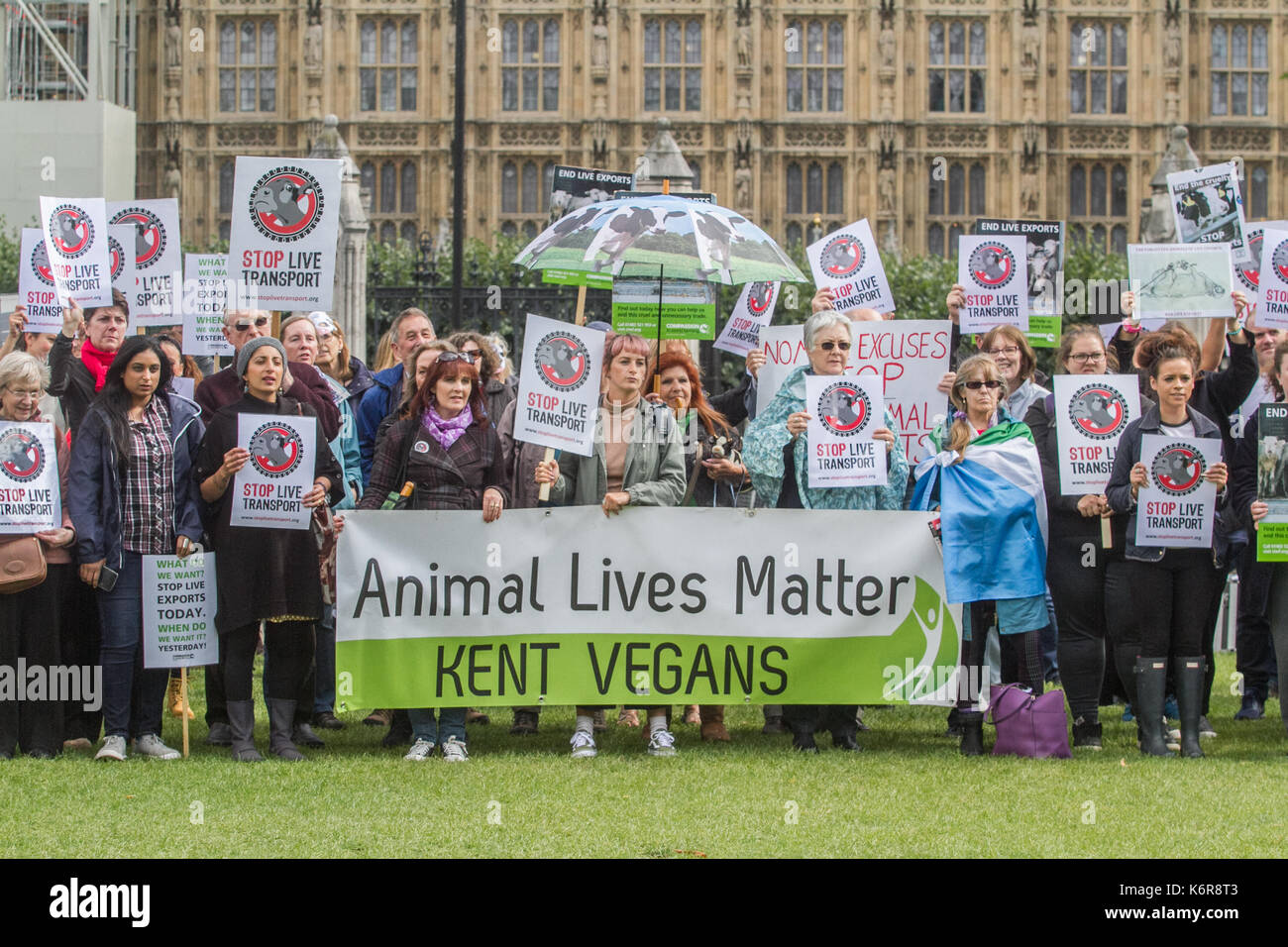London, UK. 13th Sep, 2017. Animal rights groups campaigned in Parliament Square as part of Compassion for World Farming  to highlight the inhumane treatment and suffering of Millions of live animals beeing transported thousands of kilometres  and   ban the live exports of animals as they face slaughter Credit: amer ghazzal/Alamy Live News Stock Photo