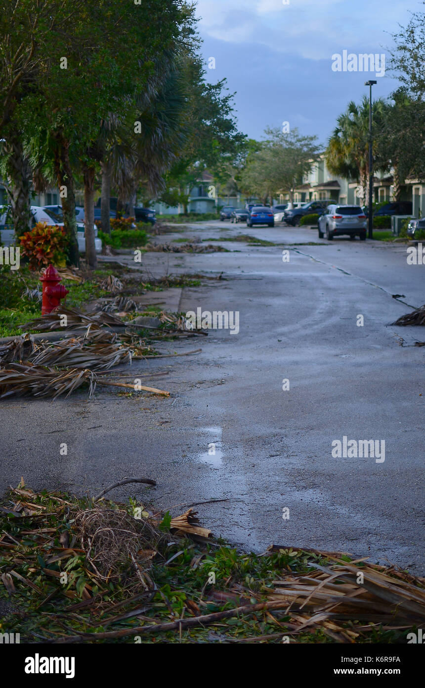 WEST PALM BEACH, FL - Sept 11, 2017: Aftermath pending cleanup of Hurricane Irma in a small neighborhood in Southern Florida showing many downed trees and branches but no structural damage Stock Photo