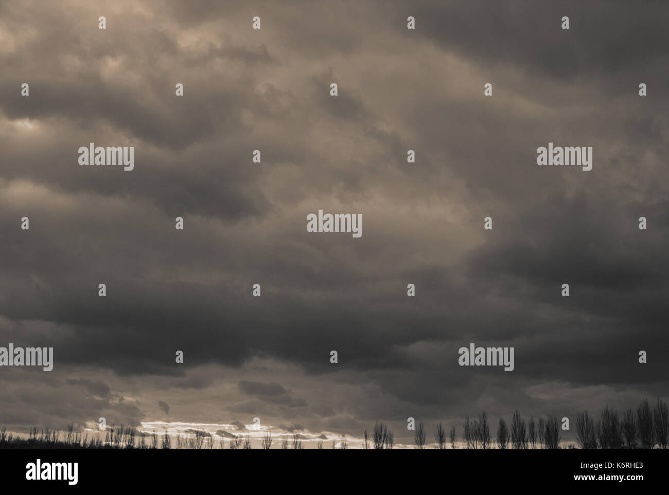 Tree trees horizon cloud hi-res stock photography and images - Alamy