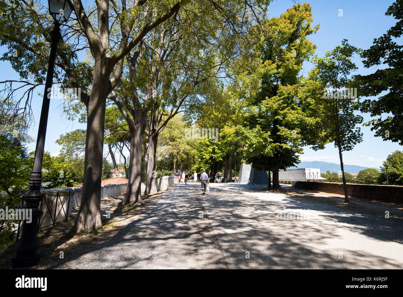 A sunny sumer day on the city wall, Lucca Tuscany Italy Europe EU Stock Photo