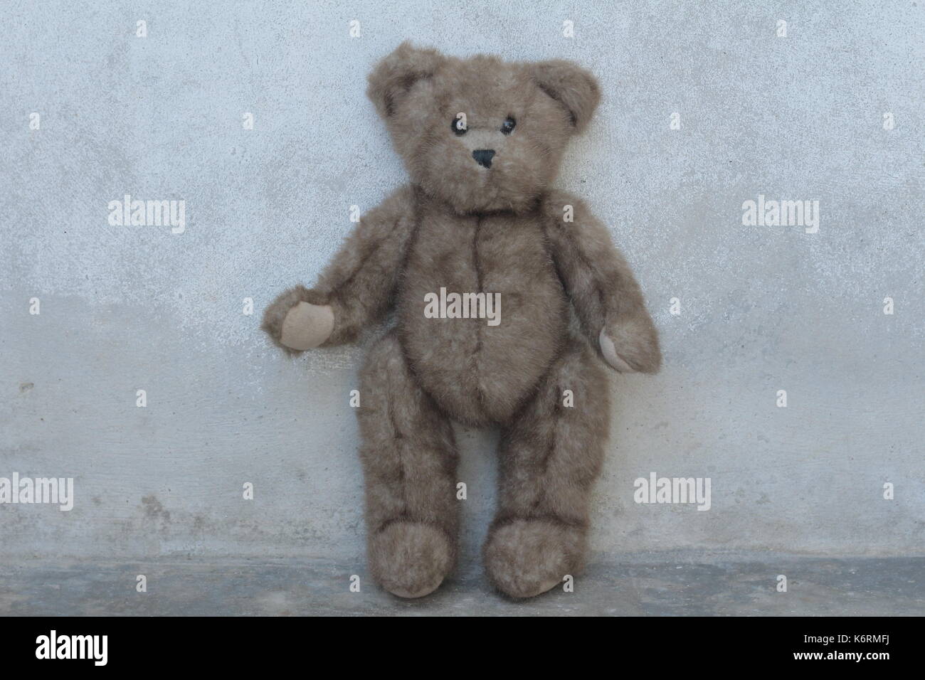 teddy bear Stock Photo