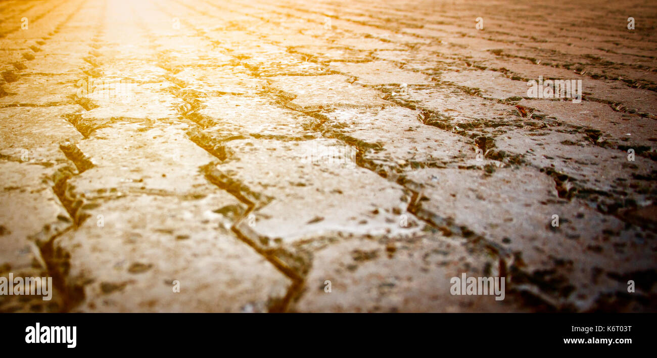 Paving stone closeup as a background. Stock Photo