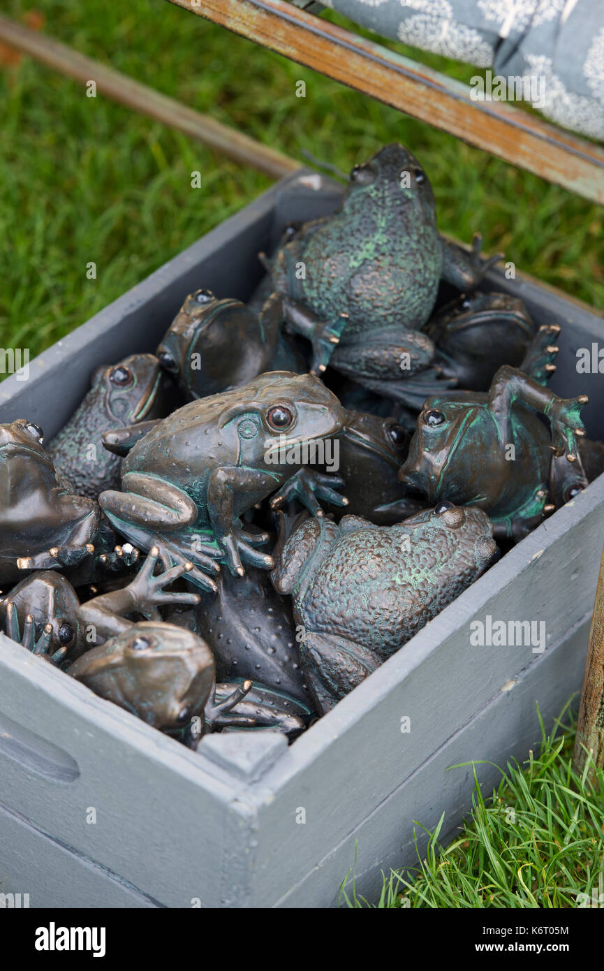 Box of frogs hi-res stock photography and images - Alamy