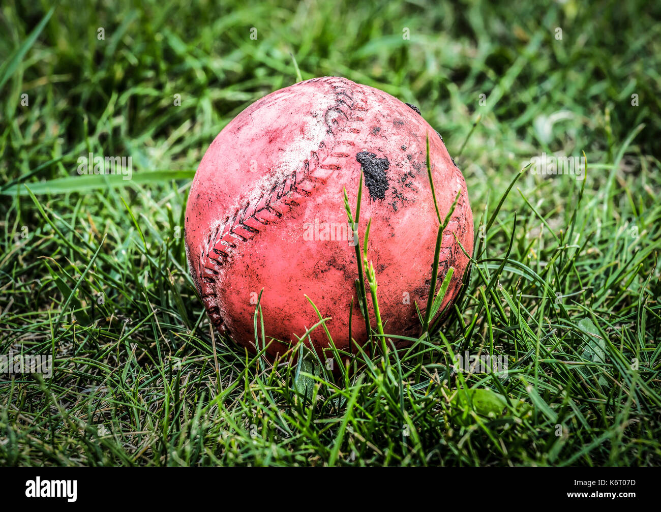 Dirty red ball lying on the green grass in the backyard Stock Photo Alamy