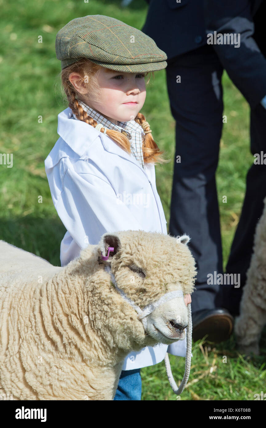 Young girl showing a Southdown lamb / sheep at Moreton in Marsh country show, Cotswolds, Gloucestershire, UK Stock Photo