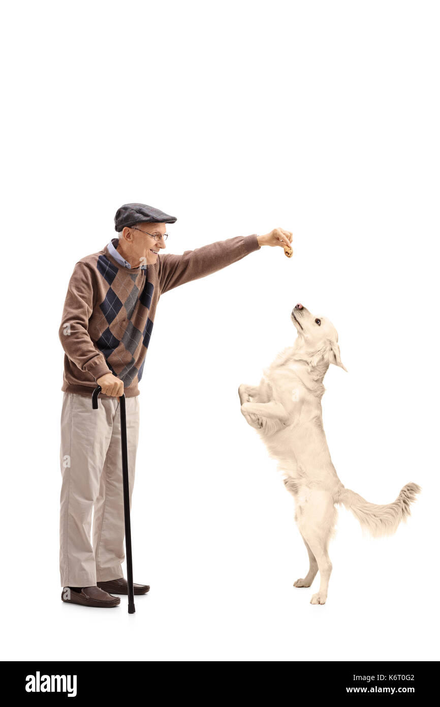 Full length profile shot of a senior giving a cookie to a dog isolated on white background Stock Photo