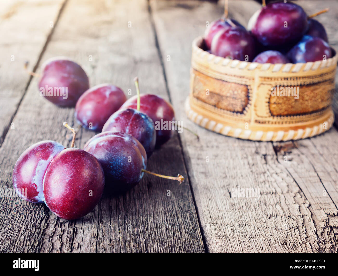 Fresh ripe plum prunes crop harvest Stock Photo Alamy