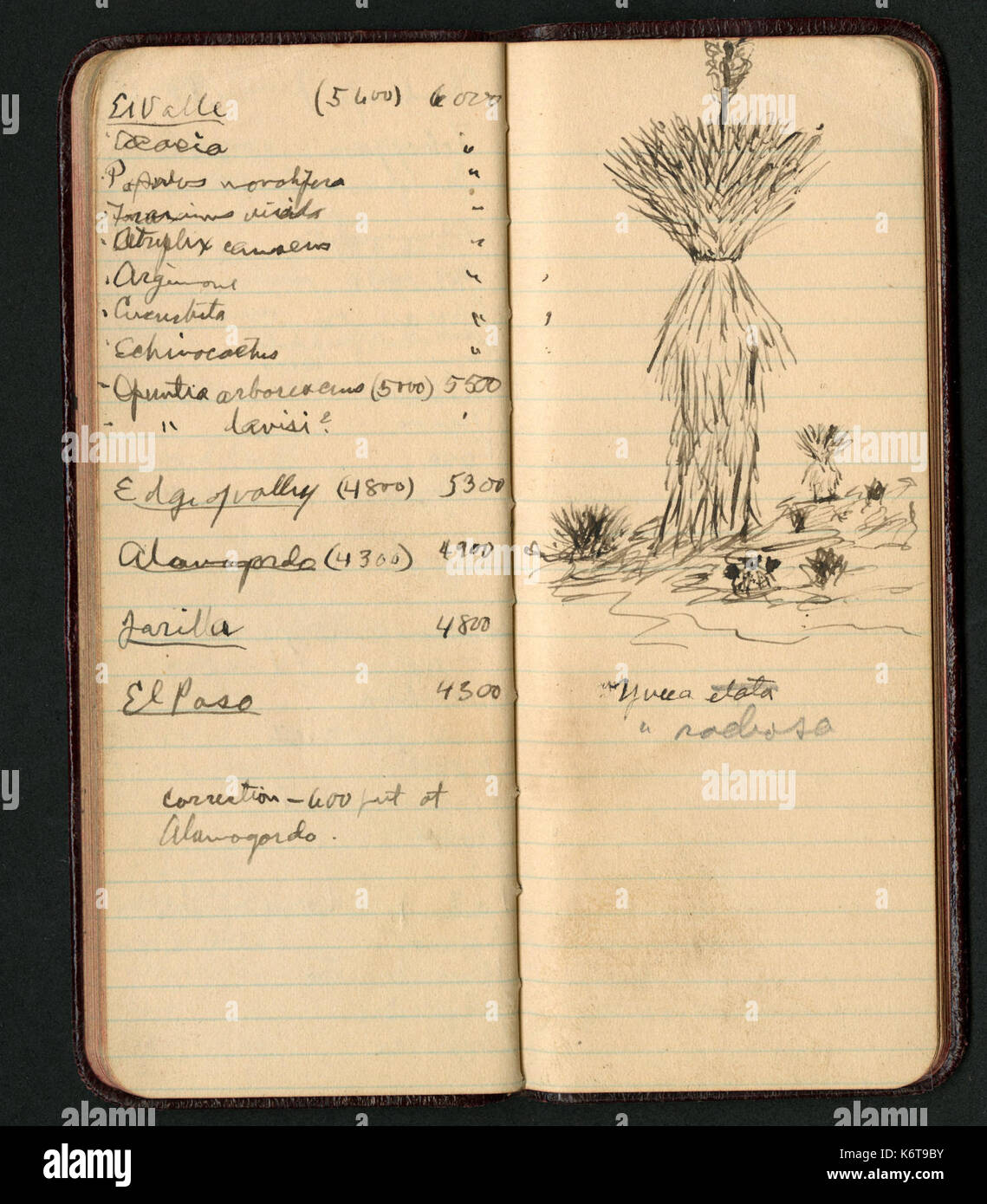 Notes 1900s June 2 1900 hi-res stock photography and images - Alamy