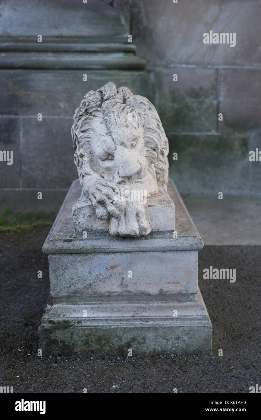 Lion lying down vector hires stock photography and images Alamy