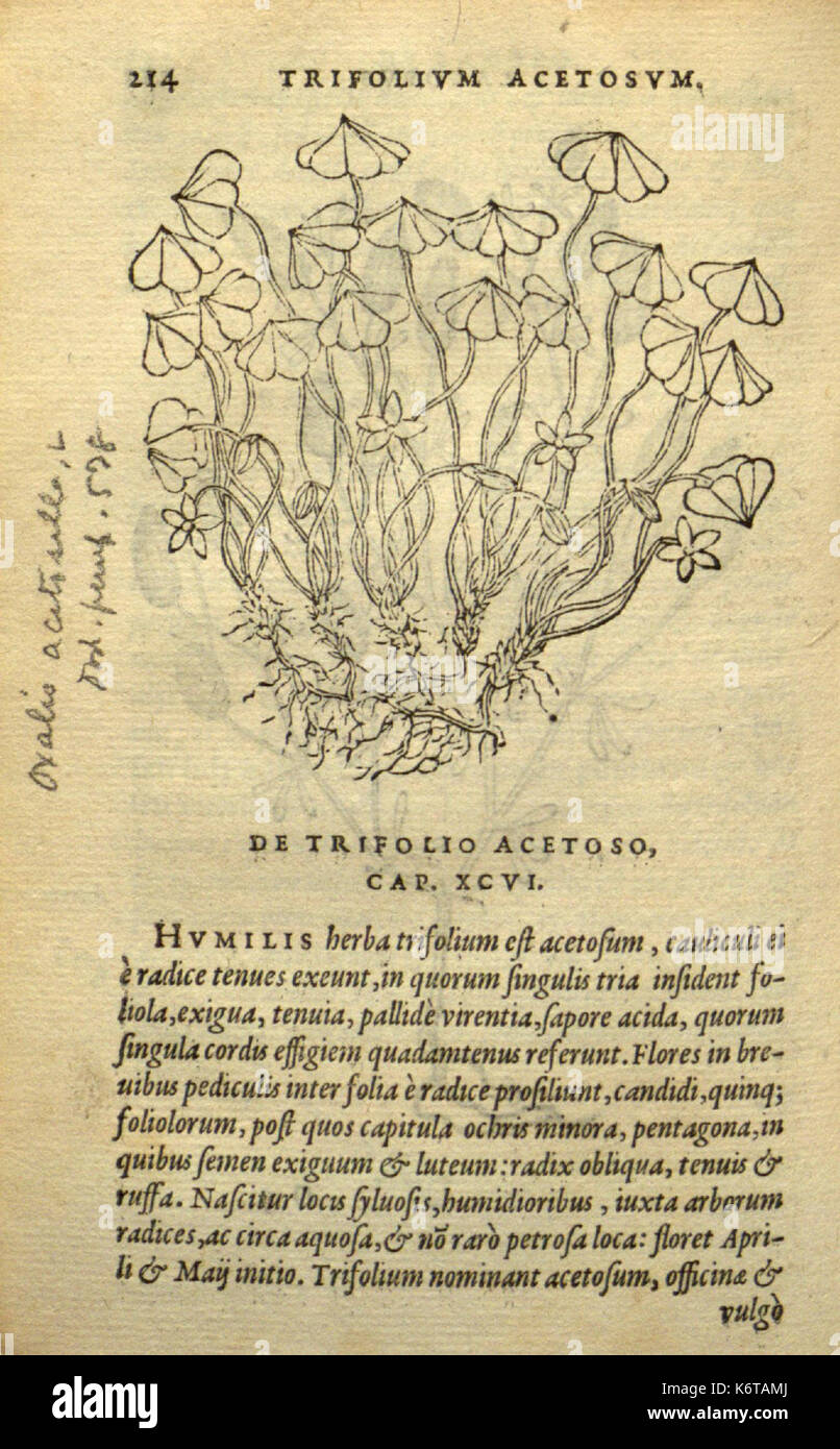 Frumentorum, Leguminum, palustrium et aquatilium herbarum (Page 214) BHL7333320 Stock Photo