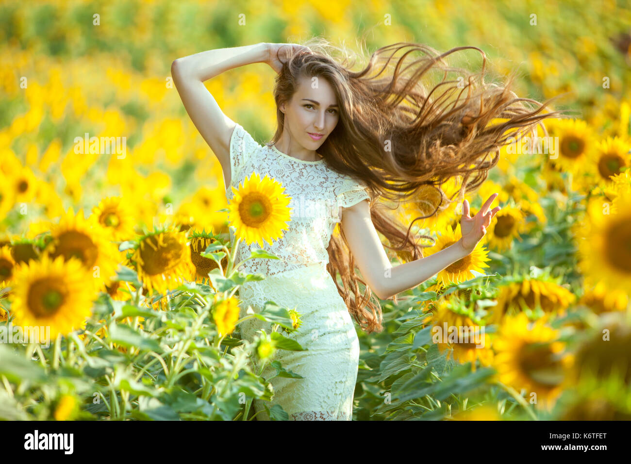 In the field with sunflowers is a woman, her long hair fluttering Stock ...