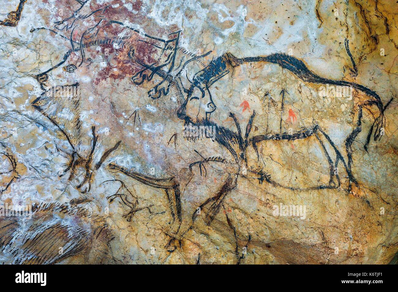 France, Ariege, listed at Great Tourist Sites in Midi Pyrenees, Regional Park Ariege Pyrenees, Niaux, Niaux cavern, Niaux cave paintings Stock Photo