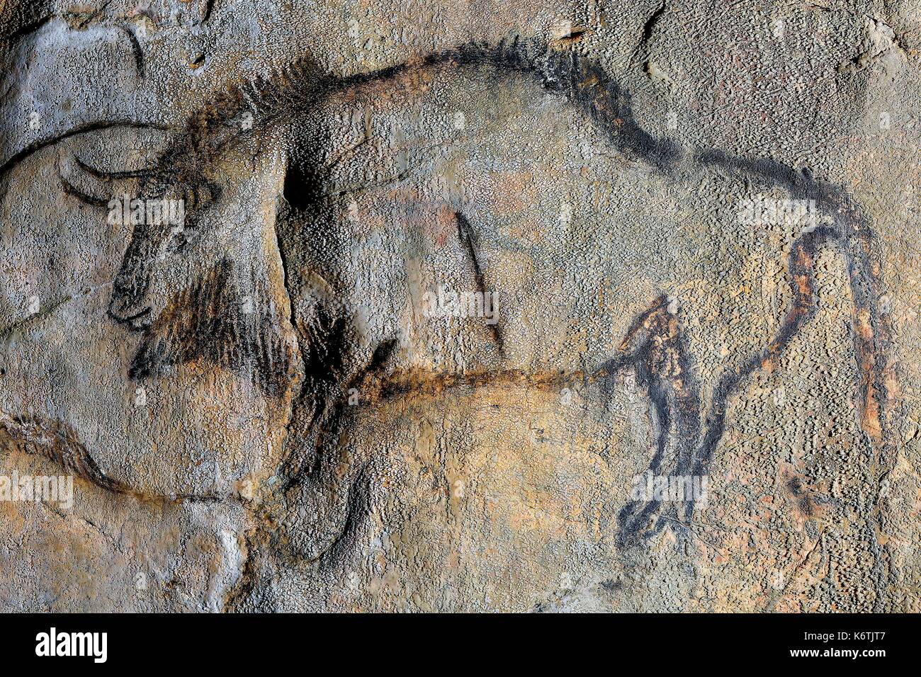 France, Ariege, listed at Great Tourist Sites in Midi Pyrenees, Regional Park Ariege Pyrenees, Niaux, Niaux cavern, Niaux cave paintings Stock Photo