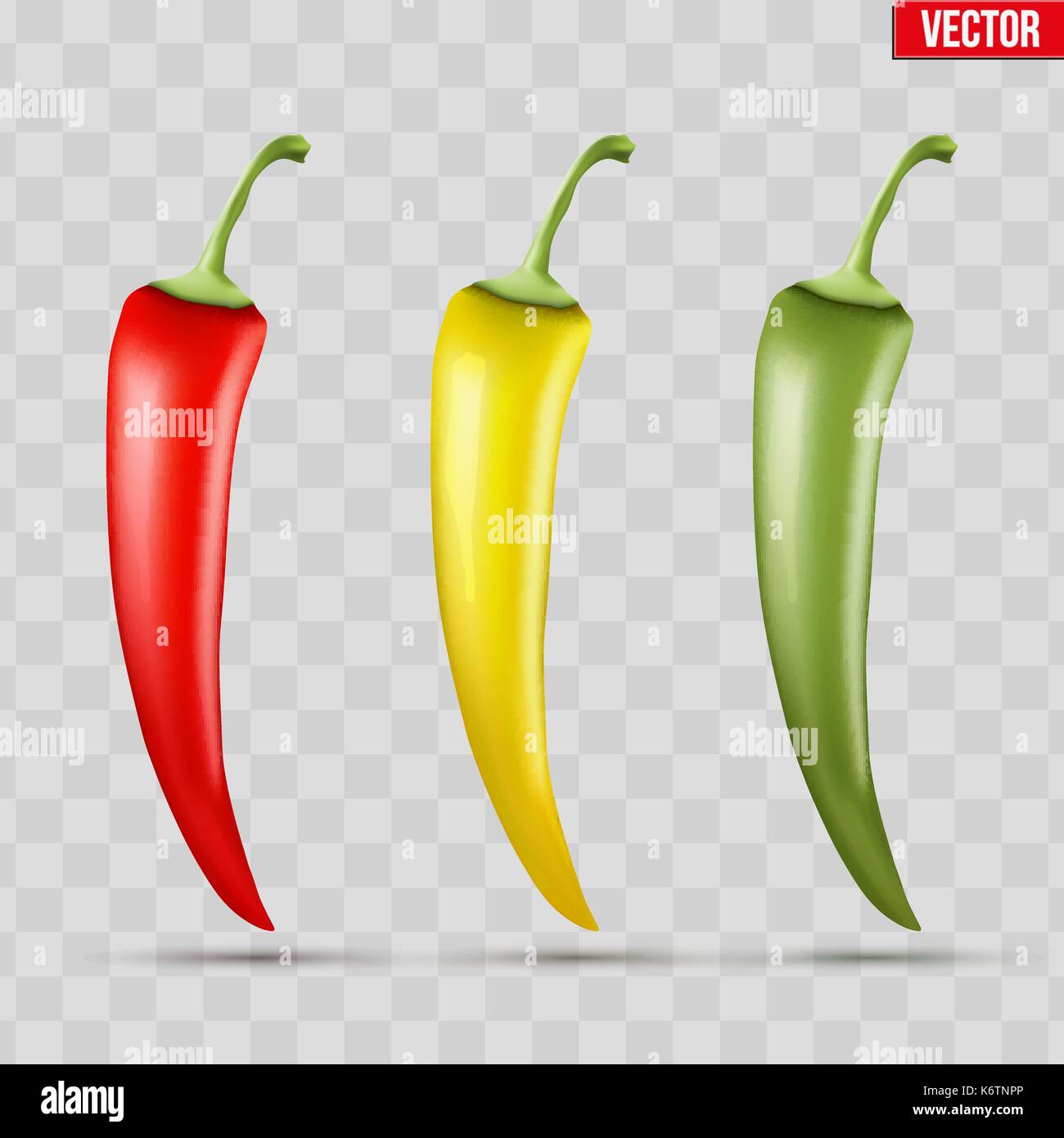 Set of hot chili peppers Stock Vector