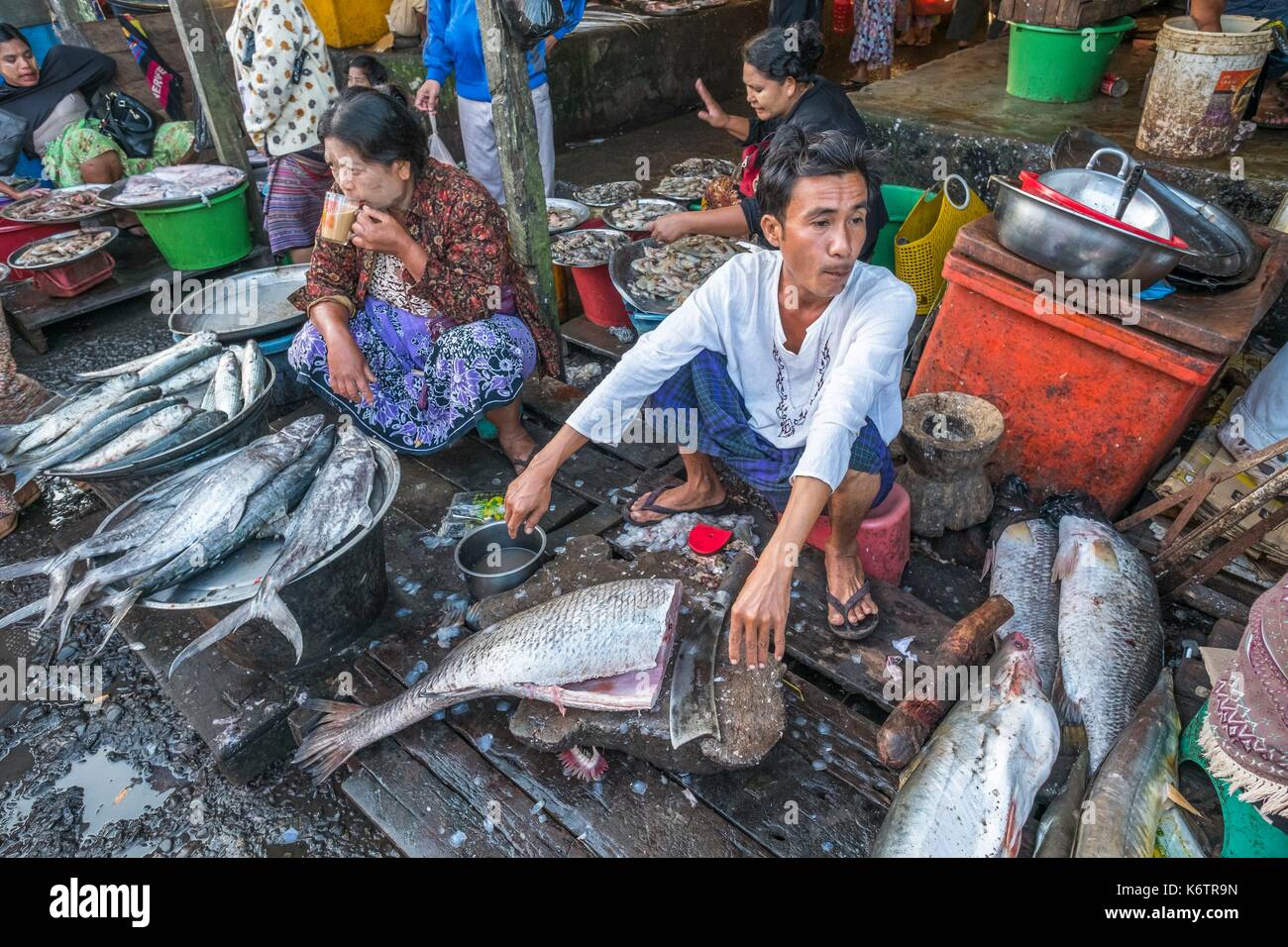 Myanmar (Burma), Rakhine state (or Arakan state), Sittwe, fish market Stock Photo