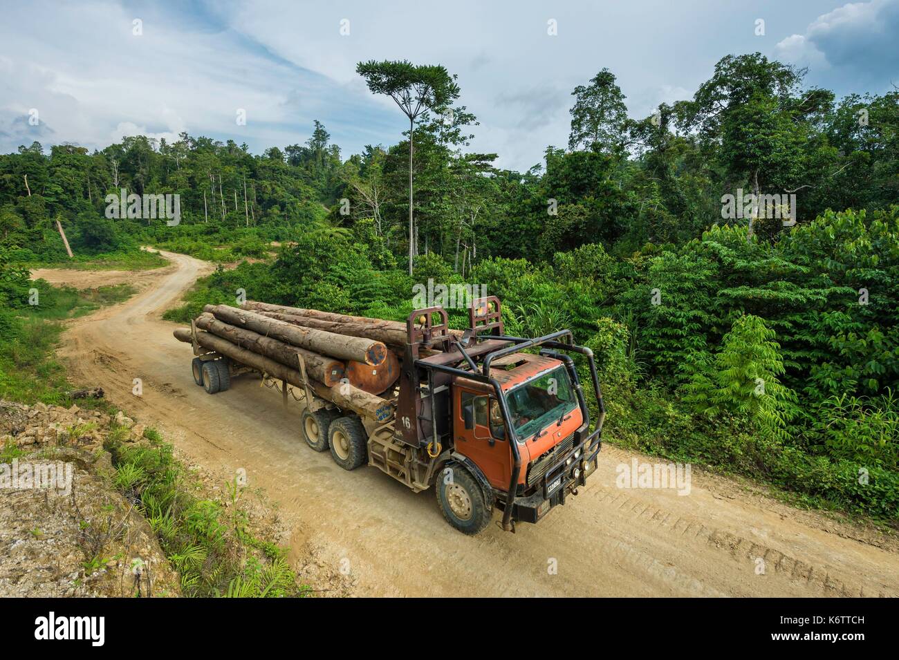 Papua New Guinea, Vanimo province, timber transportation Stock Photo ...