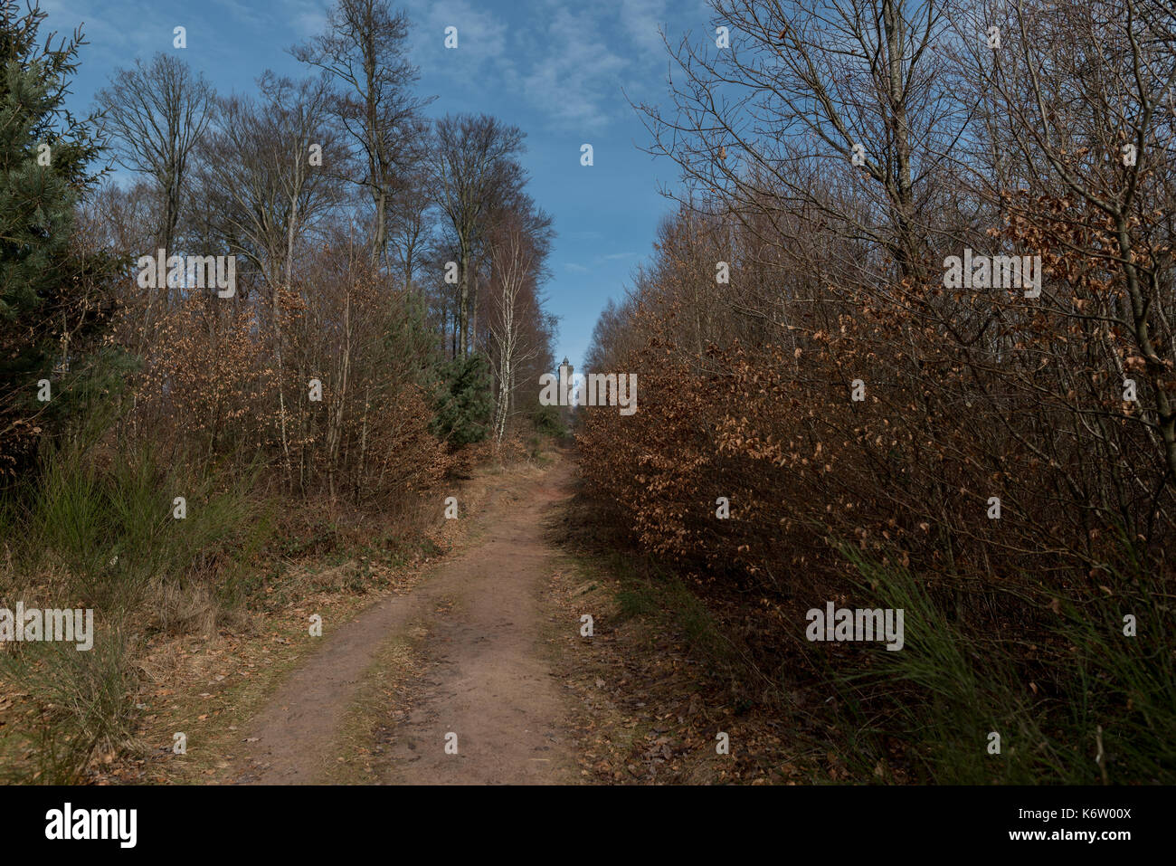 Wanderweg im wald hi-res stock photography and images - Alamy