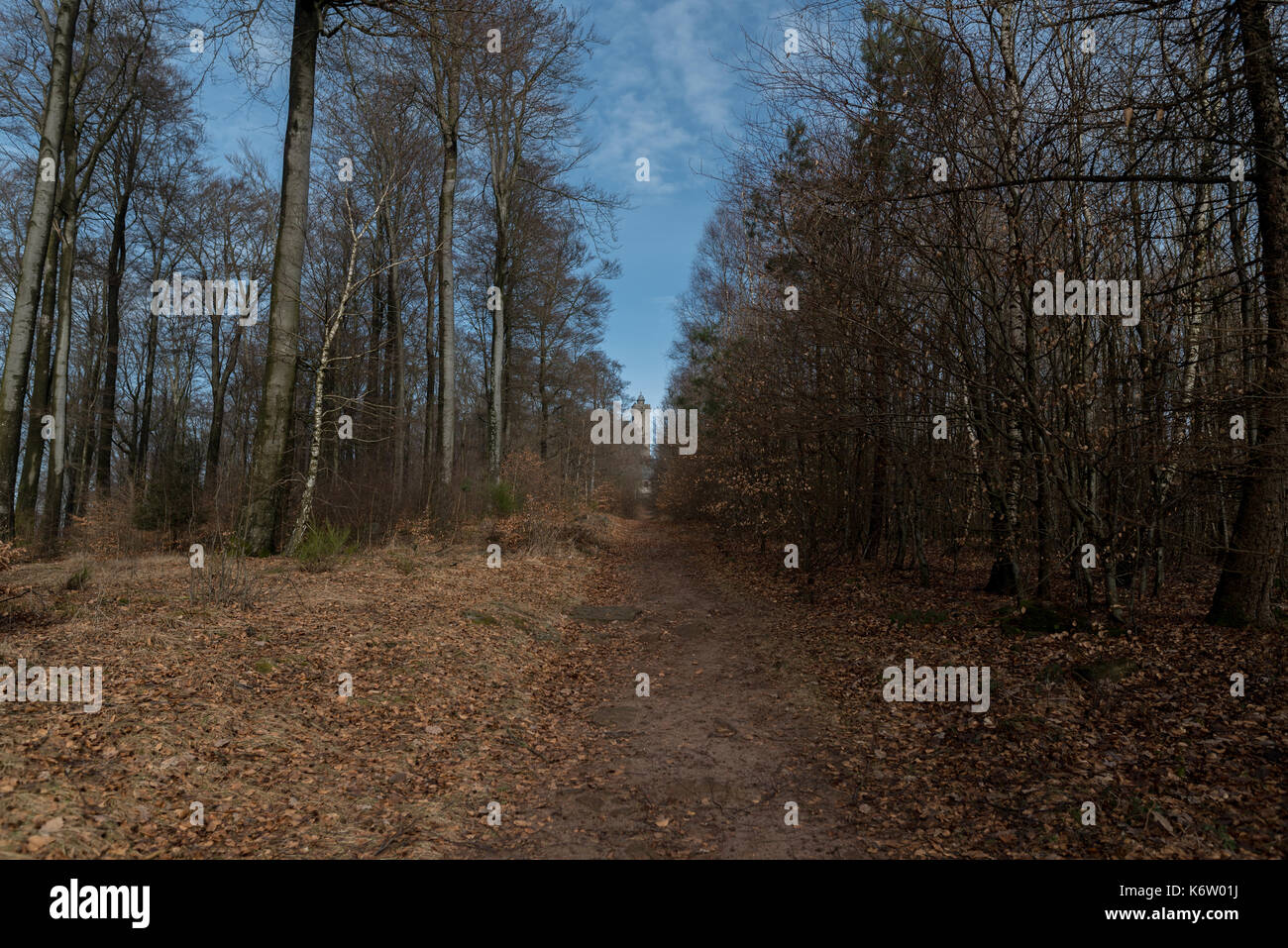 Wanderweg Im Wald High Resolution Stock Photography and Images - Alamy