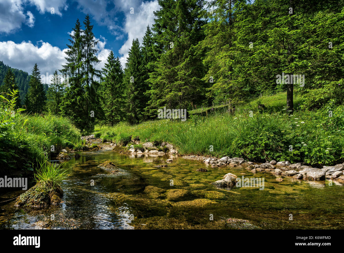 Small mountain stream, near Tegernsee, Upper Bavaria, Bavaria, Germany Stock Photo