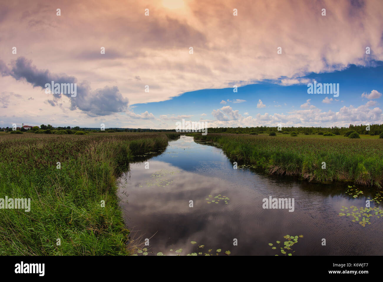 Federsee lake Nature Reserve, UNESCO World Cultural Heritage Site, Bad Buchau, Upper Swabia Baden-Württemberg, Germany Stock Photo