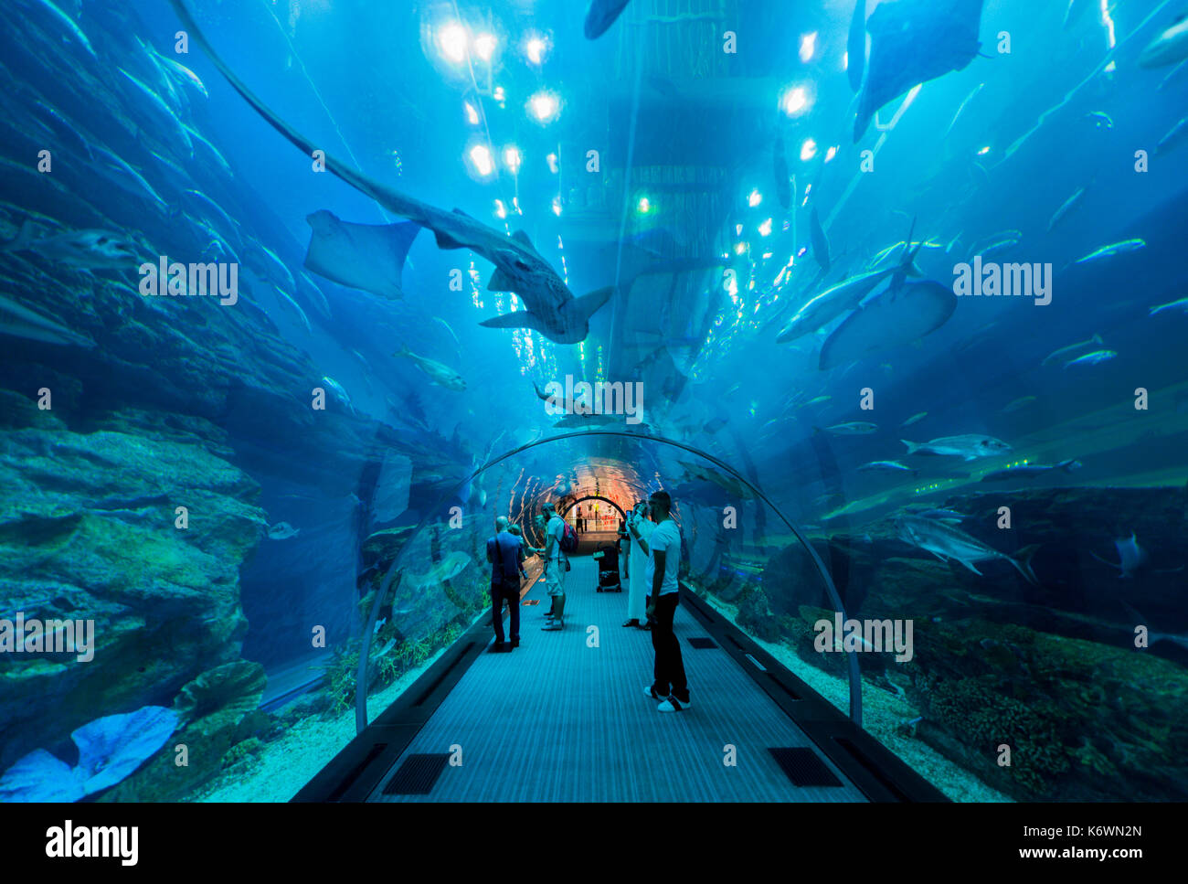Underwater tunnels in the Dubai Aquarium and Underwater Zoo, Dubai Mall