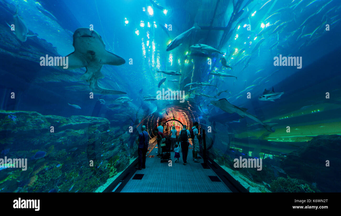 Underwater tunnels in the Dubai Aquarium and Underwater Zoo, Dubai Mall, Dubai, United Arab Emirates Stock Photo