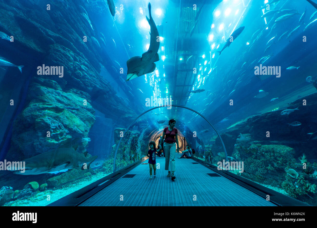 Dubai Aquarium and Underwater Zoo, in the Dubai Mall, Dubai, United Arab Emirates Stock Photo