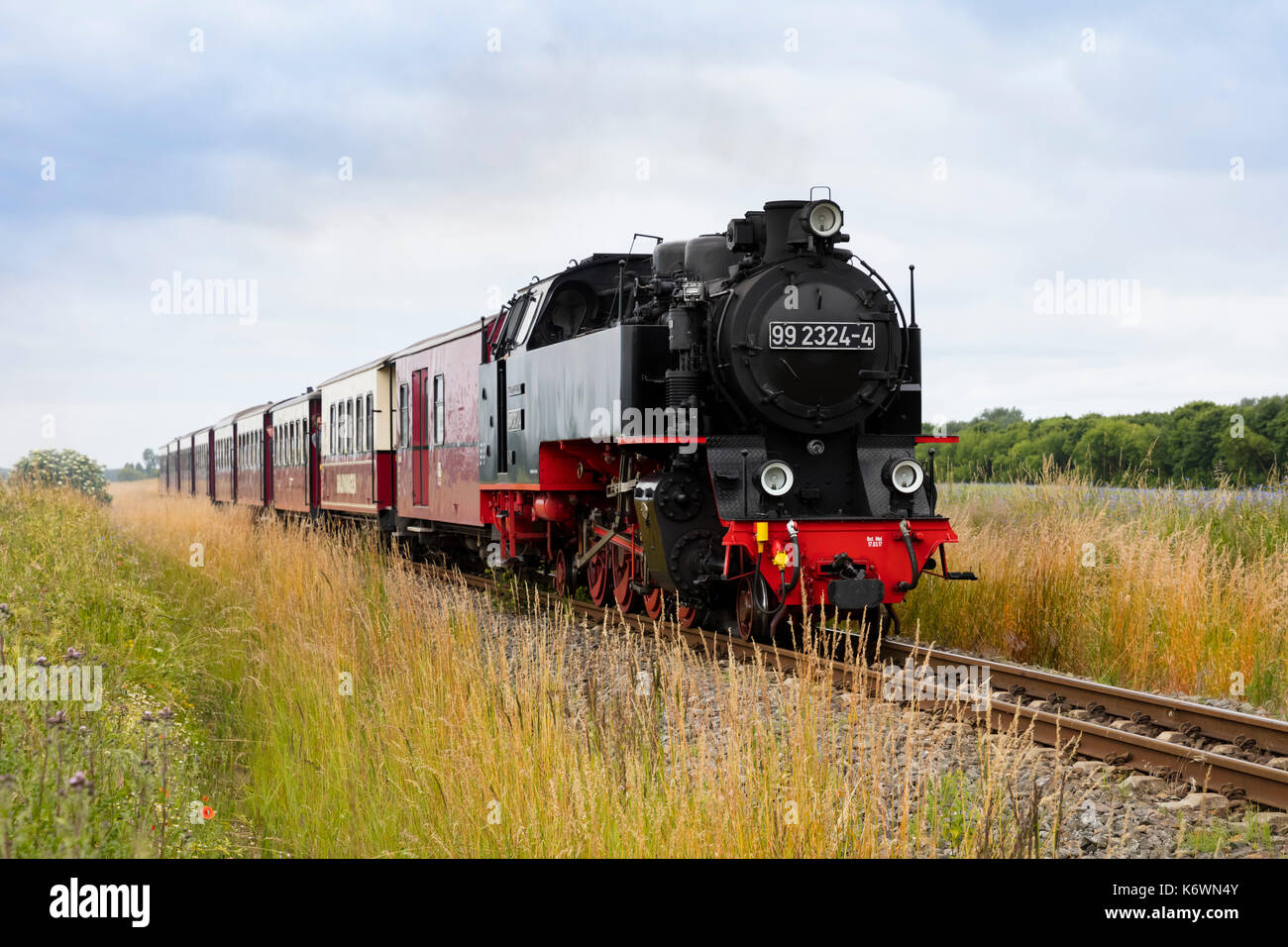 Bäderbahn Molli, narrow-gauge railway, Heiligendamm, Mecklenburg-Western Pomerania Stock Photo
