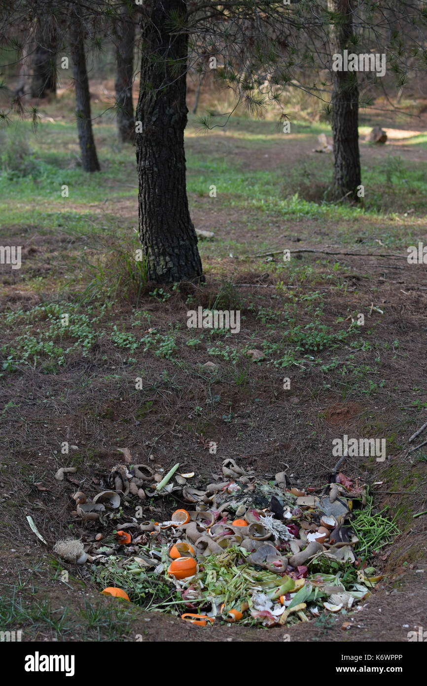 Compost ground hole with organic biodegradable green waste in the woods. Pit composting. Stock Photo
