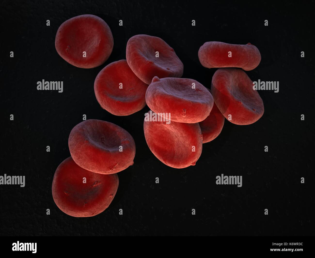 Extreme topographic close-up SEM (scanning Electron Microscope) of oxygenated Red Blood Cells (Erythrocytes) piled up on dark grey surface background. Stock Photo