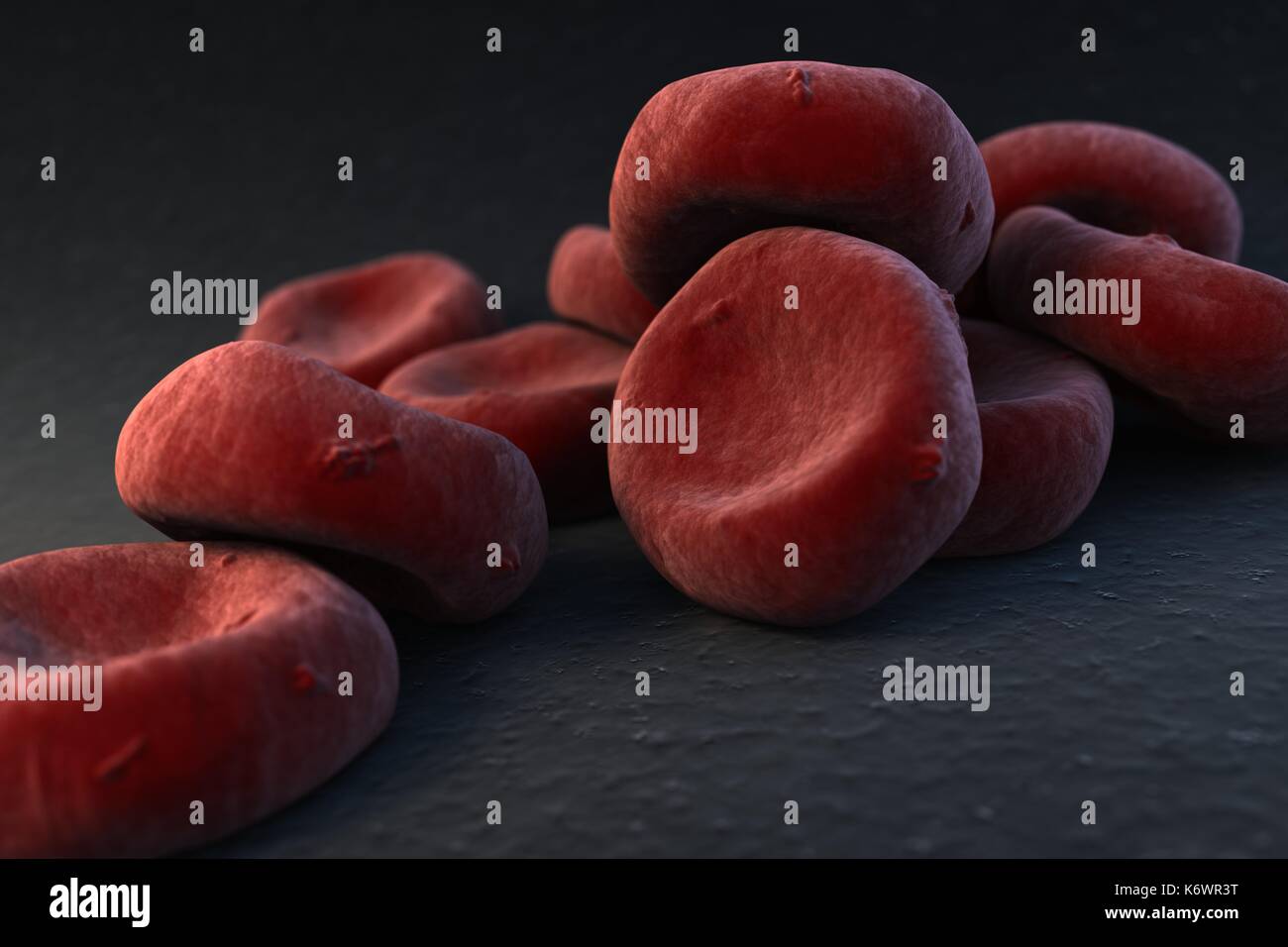 Close-up SEM (scanning Electron Microscope) of oxygenated Red Blood Cells (Erythrocytes) on dark grey surface background with depth of field burring. Stock Photo