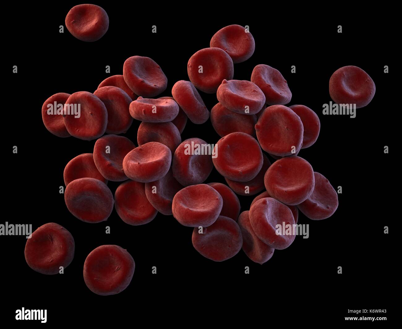 Topographical SEM (scanning Electron Microscope) close-up of oxygenated Red Blood Cells (Erythrocytes) piled up on dark grey surface background. Stock Photo