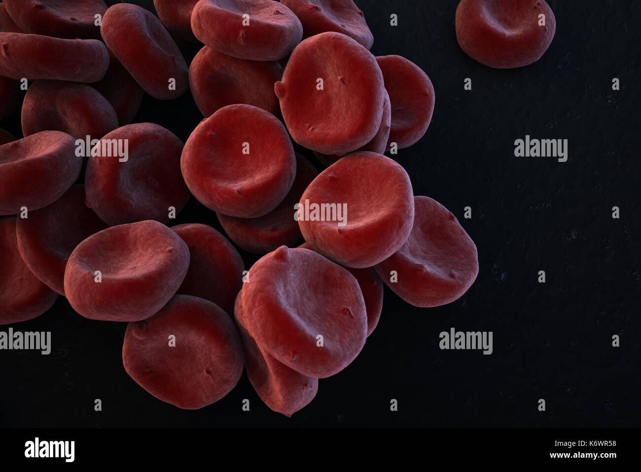 Close-up of oxygenated Red Blood Cells (Erythrocytes) piled up, SEM (scanning Electron Microscope) false rich red colored stylized depiction. Stock Photo