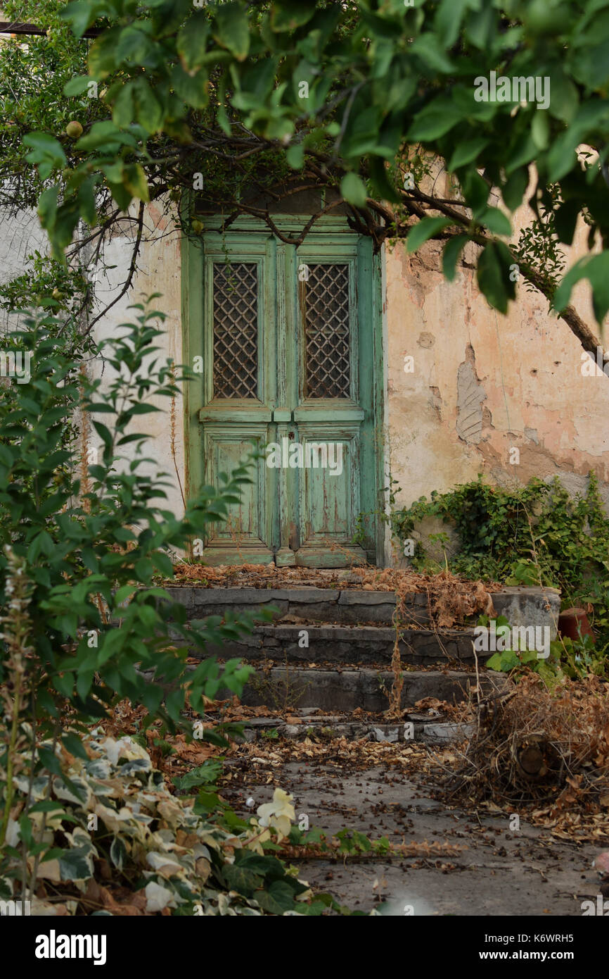 Old house with vintage green door and overgrown plants. Stock Photo