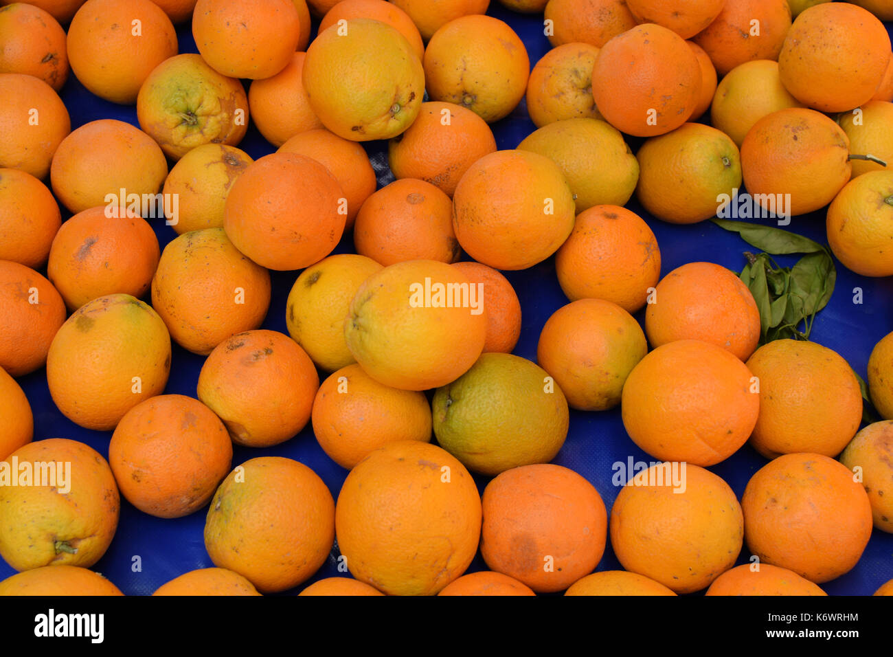 Oranges for sale at grocery store. Fruit background Stock Photo Alamy
