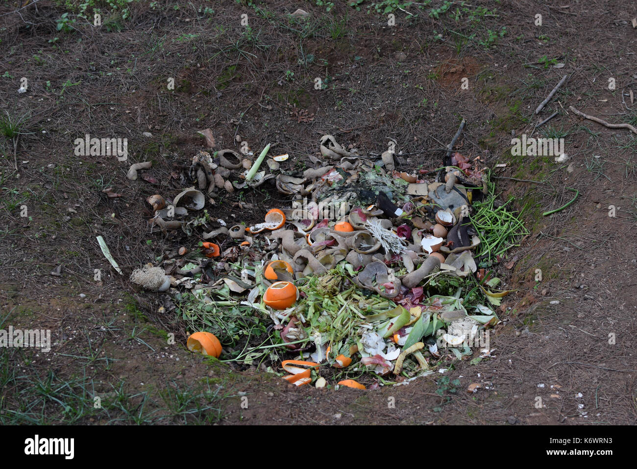 Compost ground hole full of organic biodegradable green waste. Pit composting. Stock Photo