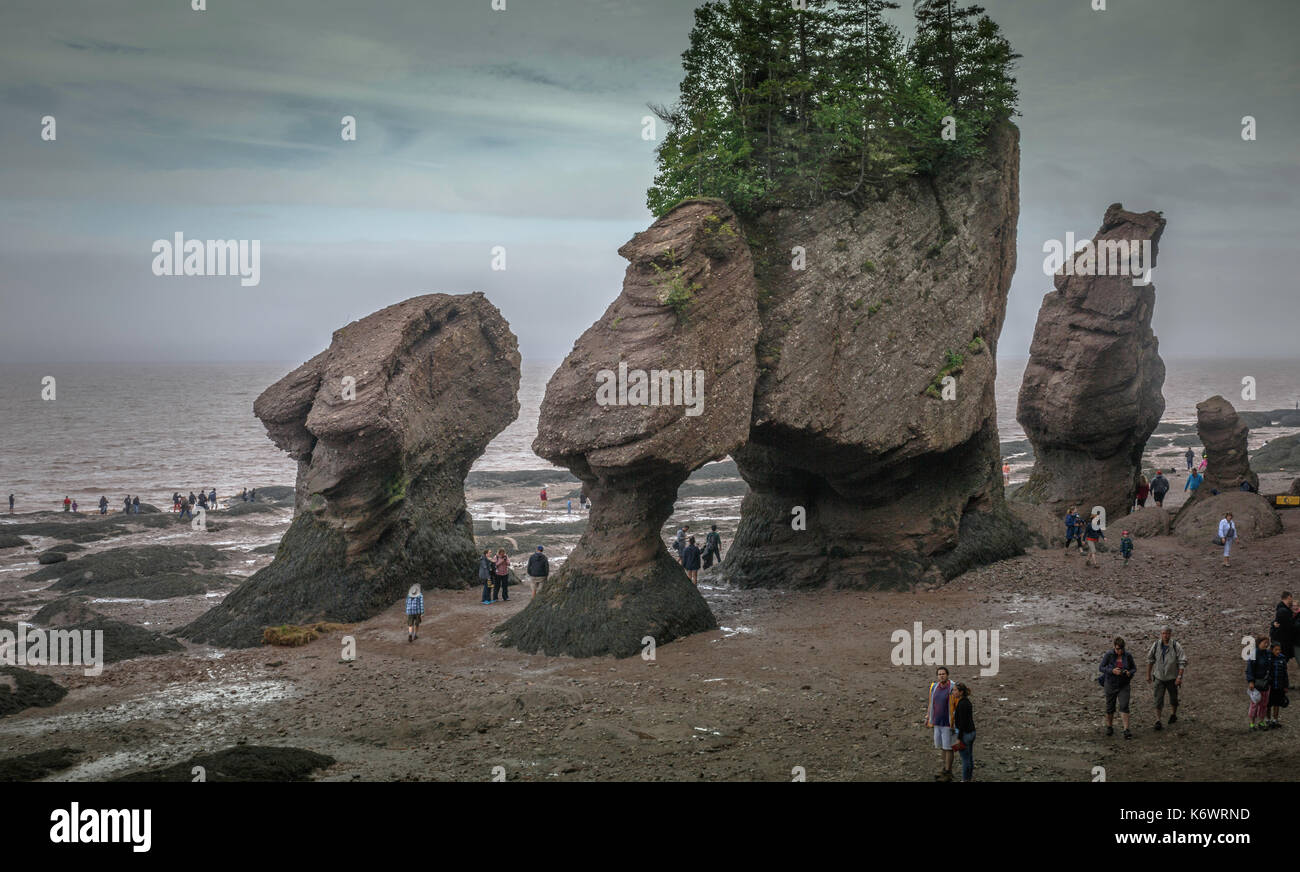 Unusual rock formations caused by tidal movements, Hopewell Rocks, Bay of Fundy, New Brunswick, Canada Stock Photo
