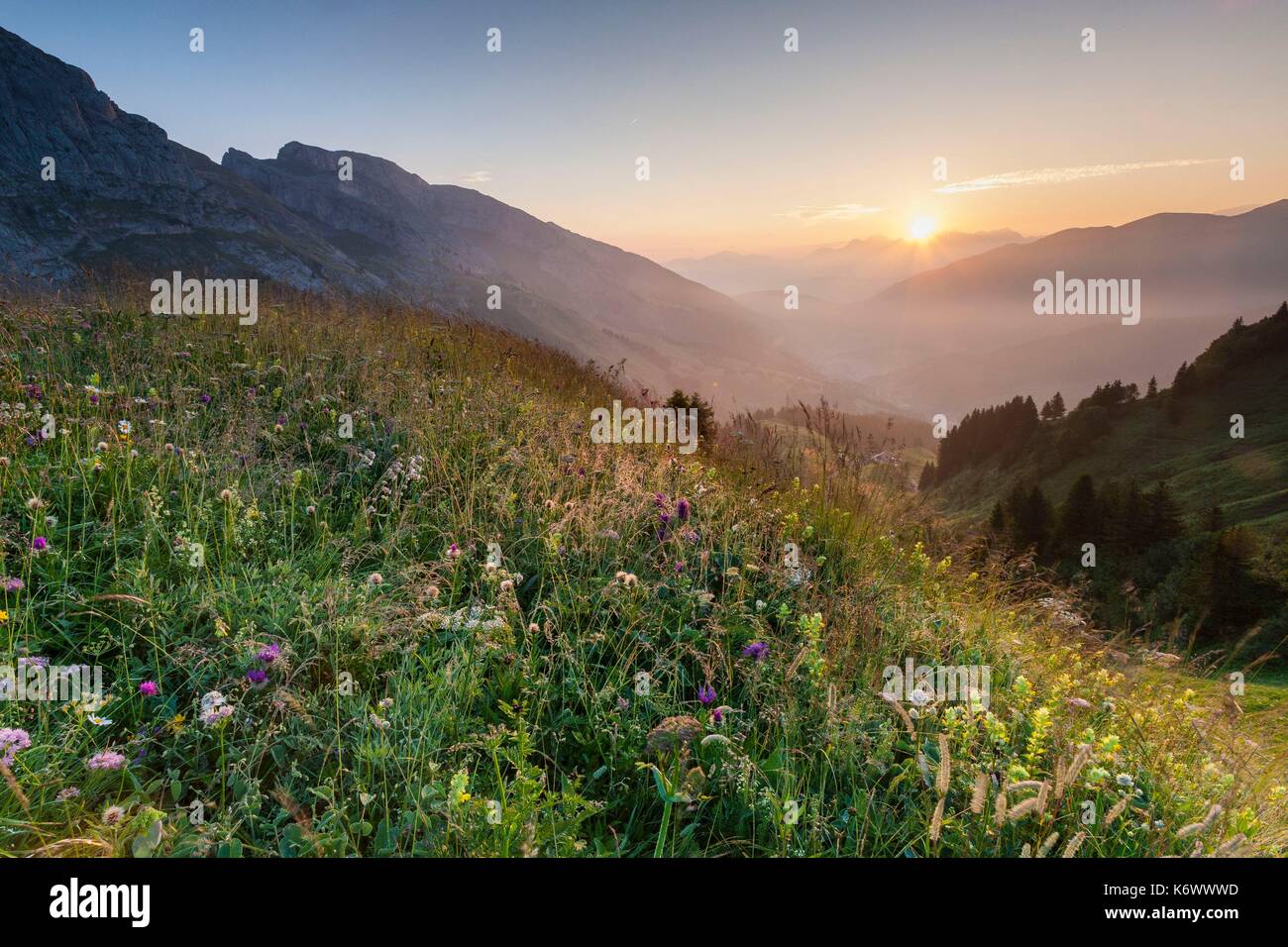 France, HauteSavoie, col de la Colombiere, seen on the valley of the
